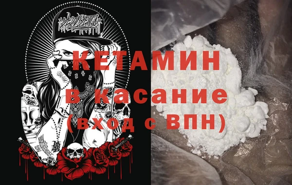 сатива Аркадак