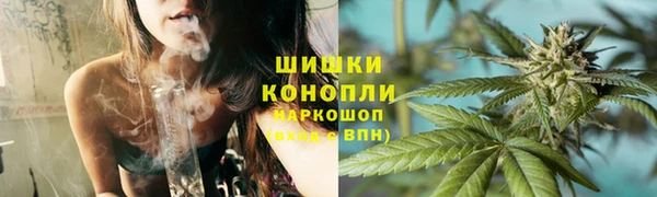 крисы Армянск