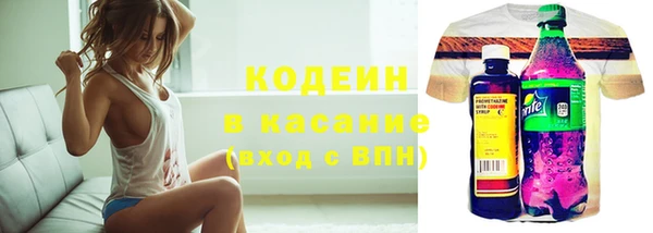 крисы Армянск