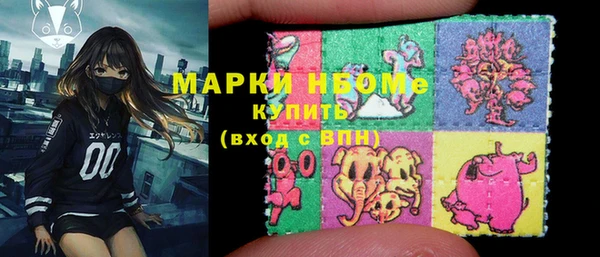 сатива Аркадак