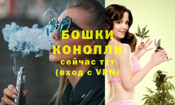spice Арсеньев