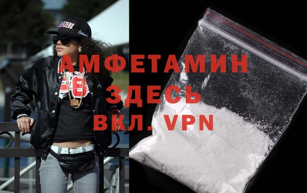 сатива Аркадак