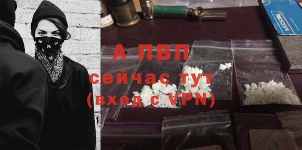 spice Арсеньев
