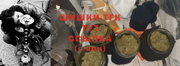 сатива Аркадак